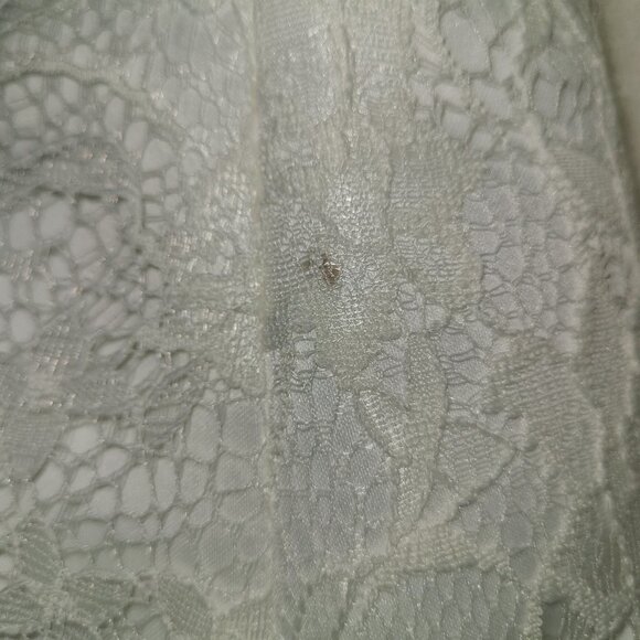 Lace Elegance Wedding Dress size 10 - Picture 6 of 10